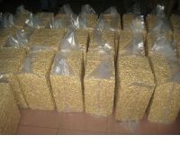 Hot Selling Cheap Raw Cashew Nut/ Cashew Nuts W180 W240 W320 W450/ Tanzania Certified WW320 Dried Cashew