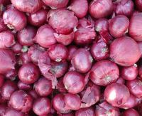 Onion Price/Cheap Onion/Bulk Fresh Red Onion