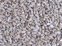 Hulled Sesame Seeds Best Price