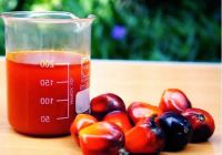 Grade A Crude Red Palm Oil and Refined Palm Oil