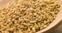 High Grade Fenugreek Seed