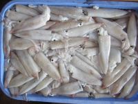 Frozen Squid Whole (Thondi)