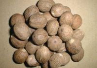 100% High Quality Dried Nutmeg