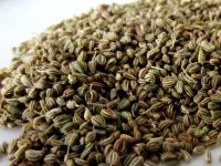 Certified Quality Carom Seeds ( Ajwain Seeds )