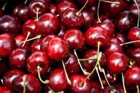 high quality and good sweet red cherry