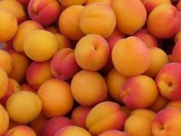 100% Fresh Apricot