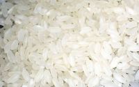 Premium-Quality Italian Baldo rice