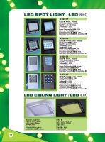 LED Spot Light