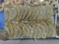 Frozen white shrimp whole round