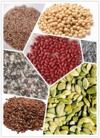 Agro Commodities Seeds OIL SEEDS