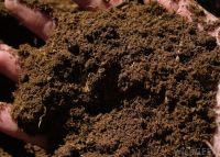 Professional Peat Moss Substrate