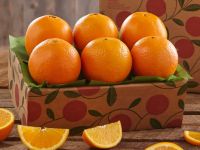 FRESH ORANGES / FRESH NAVEL ORANGES / FRESH VALENCIA ORANGES, FROM SOUTH AFRICA FOR SELL CLASS 1