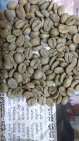 Arabica Coffee beans