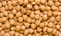 Best quality Dried ChickPeas from South Africa