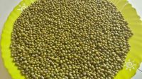 Green mung beans