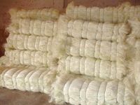 100% UG and SSU Natural Raw Sisal Fiber / Sisal Fibre