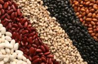 Red Kidney Beans/Dark Red Kidney Beans/White Kidney Beans, purple speckled kidney beans