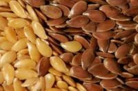 Golden and Brown Flax Seeds / Linseeds