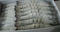 Frozen HOSO Black Tiger Shrimps / Thailand Frozen Shrimps Supply / Vannamei shrimp