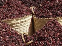 Hibiscus Rosa Sinensis Dried Flower (for health care product formulation)