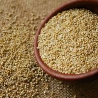 Organic Quinoa Grains & Seeds High Grade available