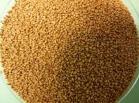 seeds camelina bulk supply