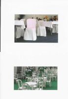 Sell chair cover