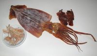 healthy snacks dried squid seafood