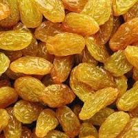 Dried Raisin fruit for sale