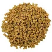 Natural Quality Fresh Yellow Raw Fenugreek Seeds for export