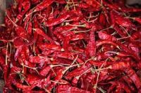 Red Chilli