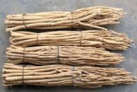 Natural Astragalus Root P.E.