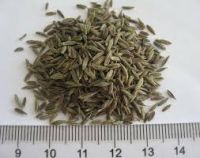 Raw Dried Cumin Seed