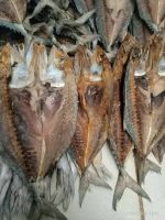 Cod and Dried Stock Fish Sizes/ Norway Dried StockFish