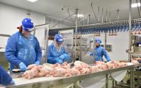 Frozen Chicken Manufacturers Frozen Chicken Suppliers