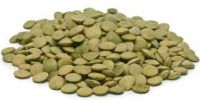 High Quality Lentils/Red Lentils/Green Lentils For Sale