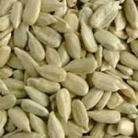 100% sunflower seeds kernel peeled sunflower seeds