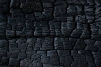 Great Quality Hardwood Charcoal