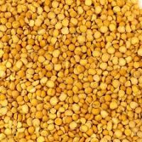 Yellow pea for human consumtion