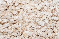 High Quality Bulk Oats