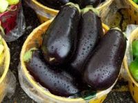 fresh eggplant high quality