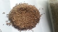 High Quality Cumin Seeds