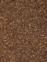 High Quality Teff Seeds