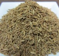 High Quality Cumin Seeds