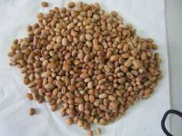 2021 NEW CROP COW PEAS(655)