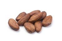 Cocoa , Cocoa Beans , Natural Cocoa Bean