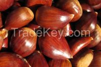 Quality Chestnut for sale