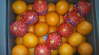 FRESH VALENCIA, NAVAL ORANGES, MANDARIN