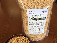 NON GMO dried cheap soybeans