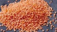 100% Red LENTIL/GREEN LENTIL(1-2mm. 3-5mm)